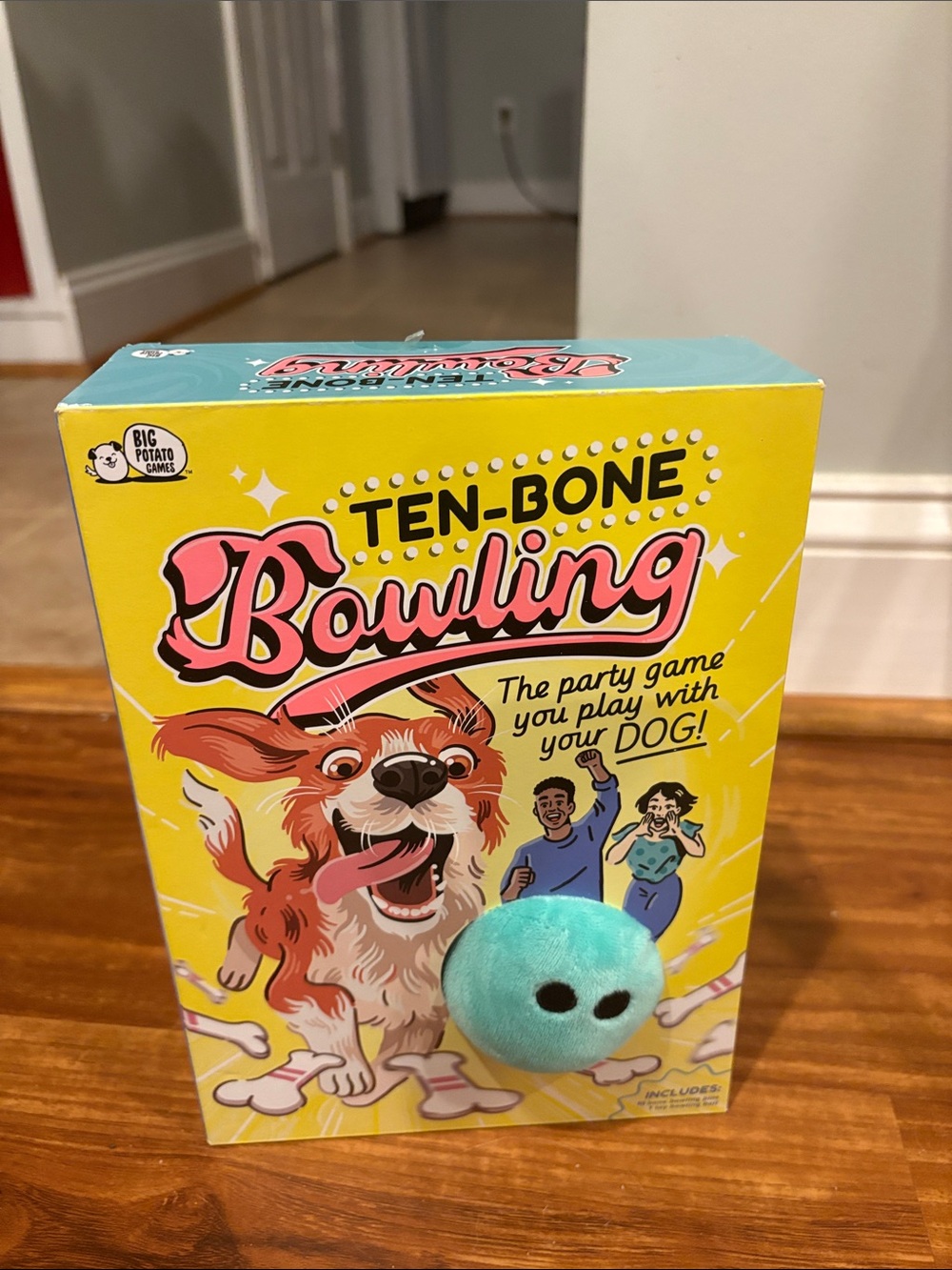 Bowling Game for Dogs
